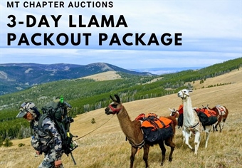 MT BHA Auctions 3-Day Llama Packout Package