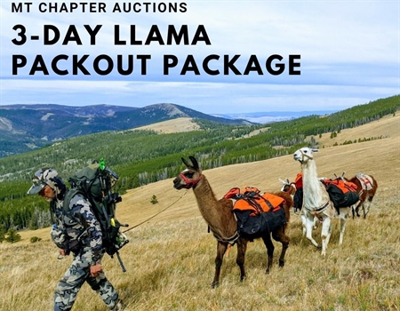 MT BHA Auctions 3-Day Llama Packout Package