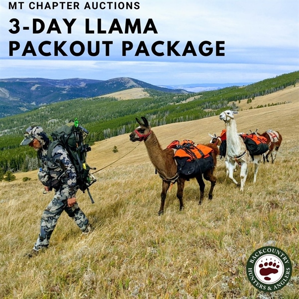 MT BHA Auctions 3-Day Llama Packout Package