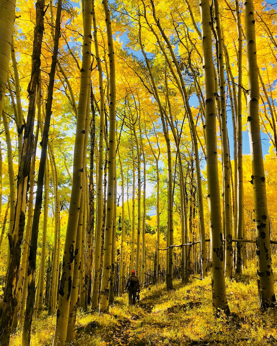 BHA Responds to Administration Decision to Reestablish National Monuments, Restore Integrity to Antiquities Act