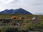 Backcountry Memories: The Ridgeline Bull