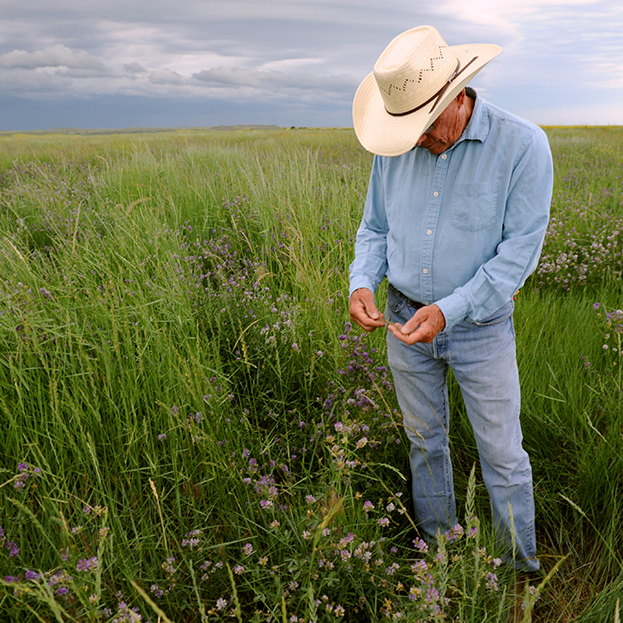 BHA Podcast & Blast, Ep. 115: Dan O’Brien, South Dakota rancher and founder, Wild Idea Buffalo Co.