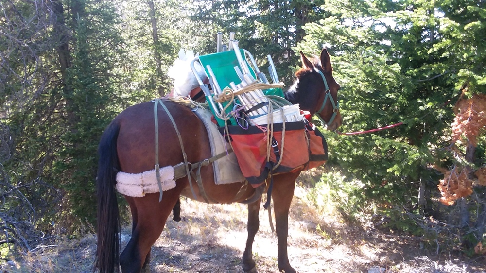 Wyoming Chapter Removes 550 lbs of Trash on Public Lands Day