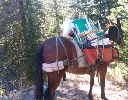 Wyoming Chapter Removes 550 lbs of Trash on Public Lands Day