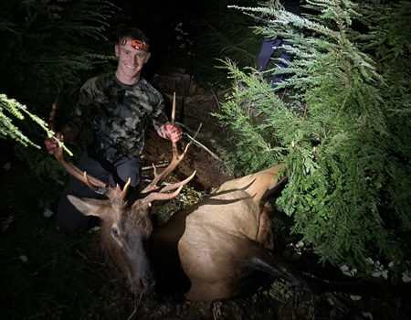 New BHA Member Finds Community and ... Elk!