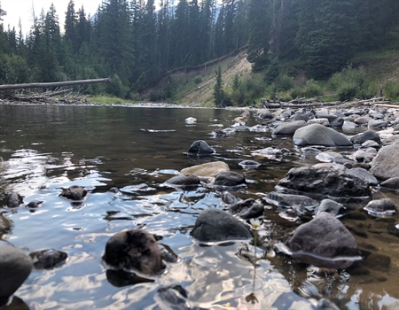 FWP Recommends Acquisition of Forestland Near Columbia Falls For Bad Rock Canyon Wildlife Management Area