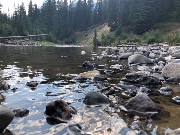 FWP Recommends Acquisition of Forestland Near Columbia Falls For Bad Rock Canyon Wildlife Management Area