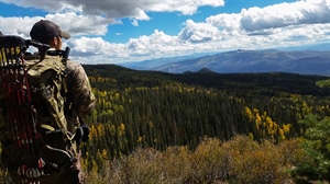 The Bridger-Teton National Forest Migration Assessment