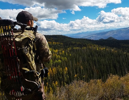 The Bridger-Teton National Forest Migration Assessment