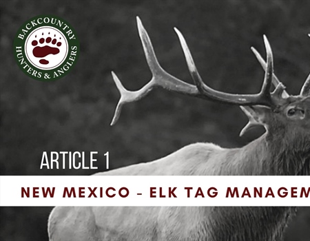 New Mexico Elk Tags – There Must Be A Better Way