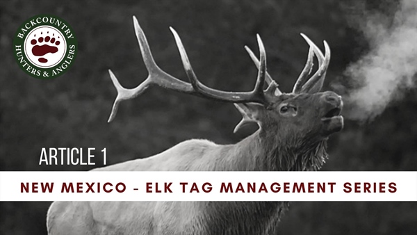New Mexico Elk Tags – There Must Be A Better Way