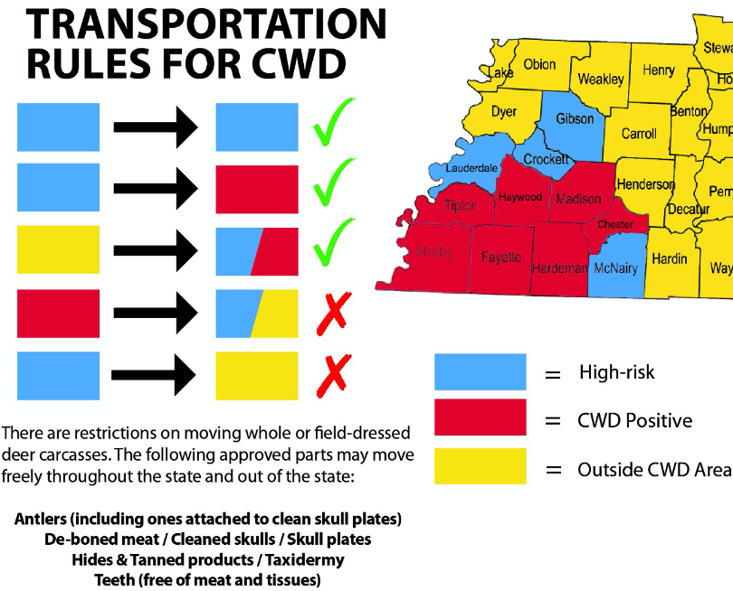 BHA TN vs CWD Rules and Regulations