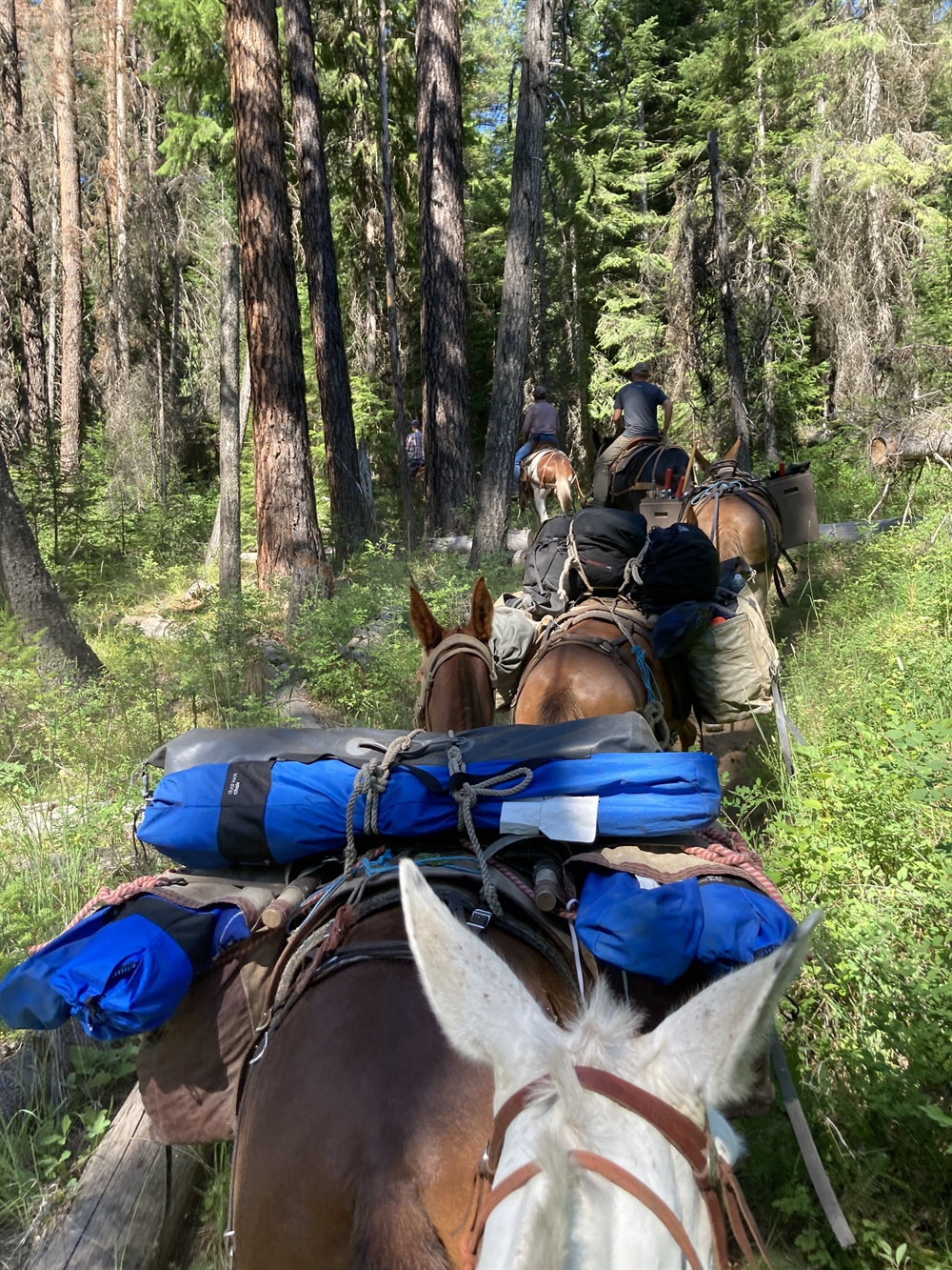 ORBHA Partners with MHCTA on Trail Projects