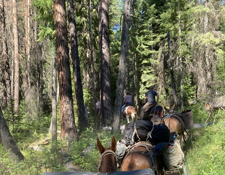 ORBHA Partners with MHCTA on Trail Projects