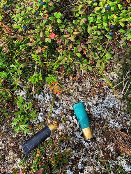 Good Things Come to Those Who Pick Up Trash