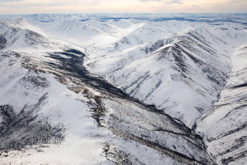 Alaska BHA Comments on White Mountains and Steese Travel Management Plans- Interior, AK