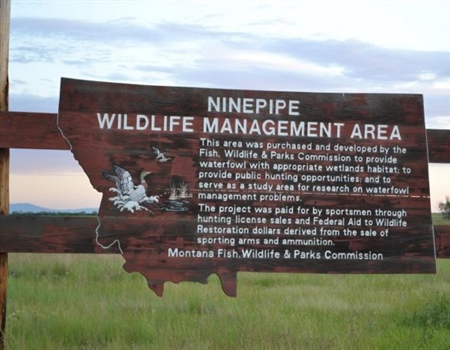 LETTER: Montana BHA Comments on Emergency Grazing & Haying on WMAs Proposal