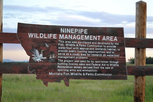 LETTER: Montana BHA Comments on Emergency Grazing & Haying on WMAs Proposal