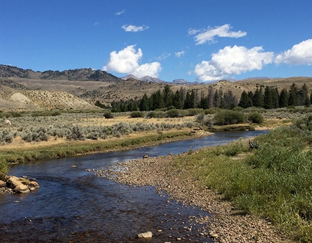BHA Podcast & Blast, Ep. 110: Migration corridors, desert elk, mule deer and Wyoming’s Red Desert