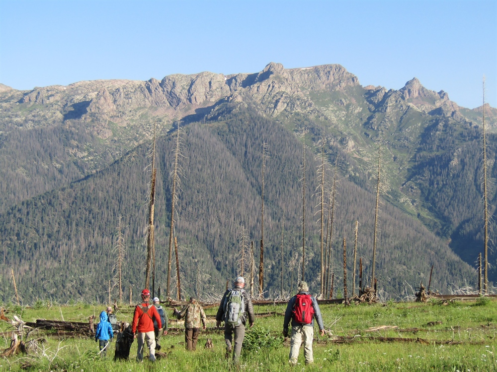 Colorado BHA (2021) Annual  Rendezvous Highlights