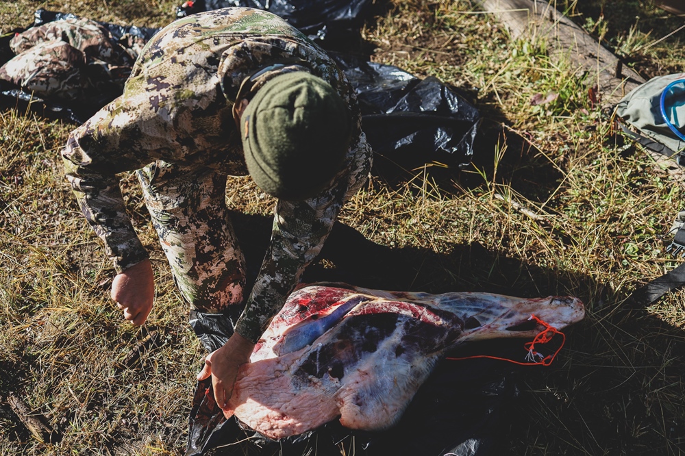 Final Action Needed:  Oregon BHA, Outdoor Groups, Ask for Your Support