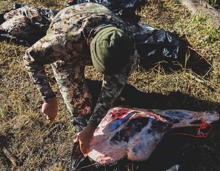 Final Action Needed:  Oregon BHA, Outdoor Groups, Ask for Your Support