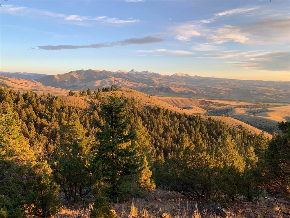 LETTER: Montana BHA Comments on Muzzleloader Season