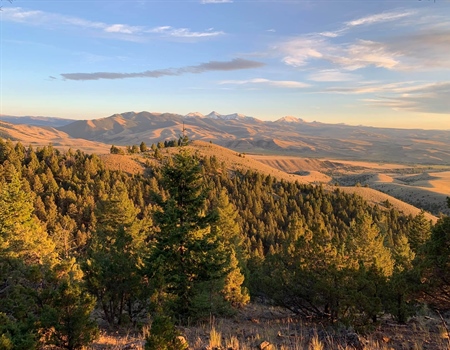 LETTER: Montana BHA Comments on Muzzleloader Season