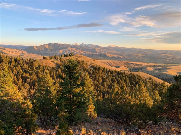 LETTER: Montana BHA Comments on Muzzleloader Season