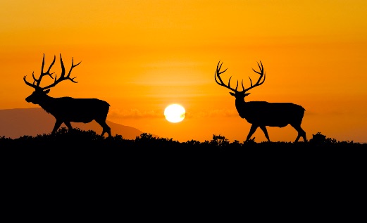 NM BHA Applauds Sabinoso Wilderness Expansion