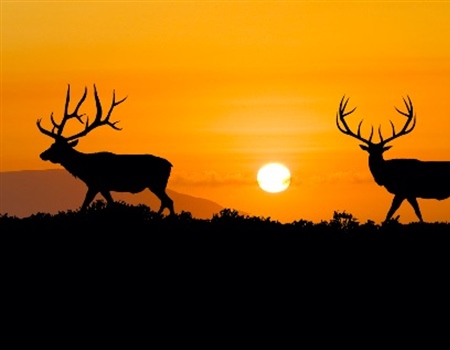 NM BHA Applauds Sabinoso Wilderness Expansion
