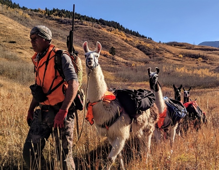 OPINION: Proposal would kill the wrong elk