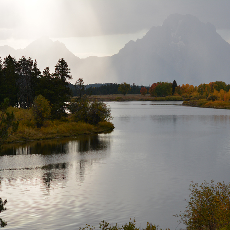 Recovering America's Wildlife Act
