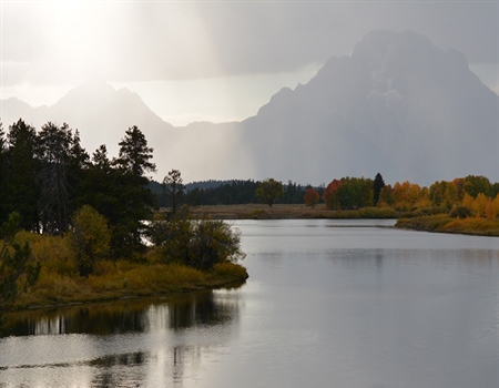 Recovering America's Wildlife Act