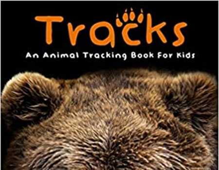 Tracks: An Animal Tracking Book for Kids by Ann Schaefer, John Schaefer and Tina Howell
