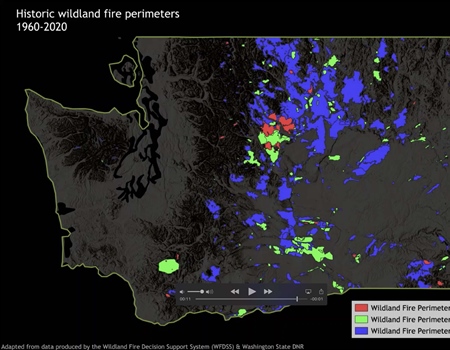Embers & Ecology: Historical Fires
