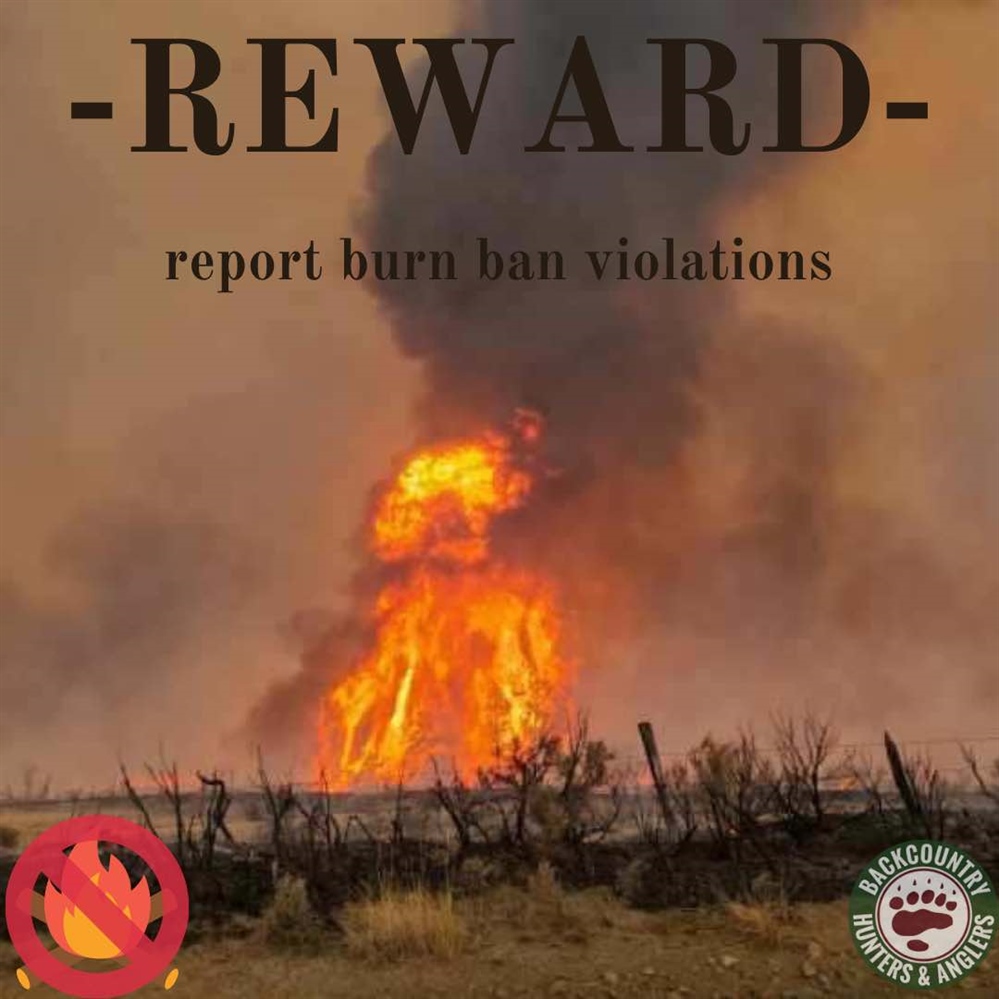 Embers & Ecology: How to Report Burn Ban Violators