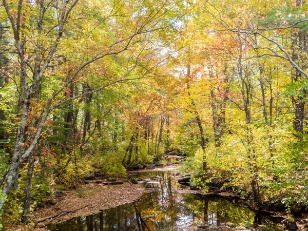 New Hampshire BHA Leadership Team Comments on Bear Brook State Park Land Management Plan