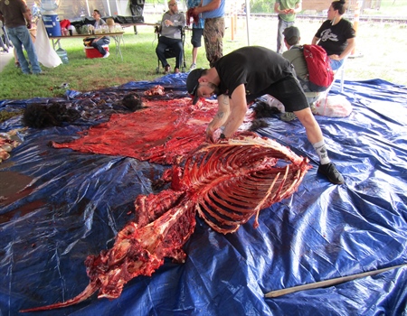 Hunting For Experience: At BHA’s  North American Rendezvous