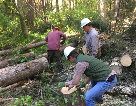 Montana BHA Q2 Newsletter