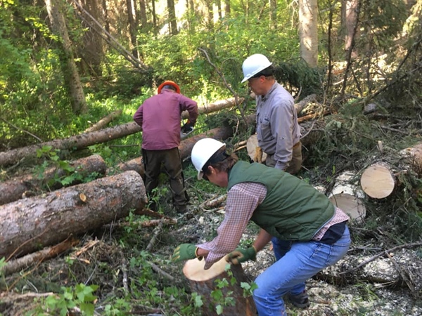 Montana BHA Q2 Newsletter