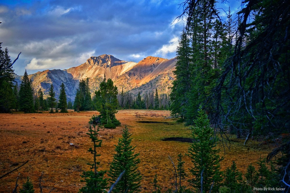 Backcountry Beat June 2021