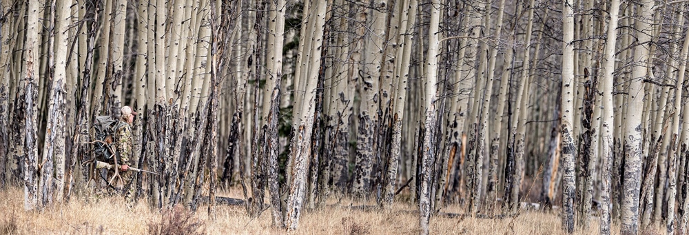 PROJECT ASPEN: $1 MILLION FOR WILD LANDS, WATER, AND WILDLIFE