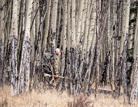 PROJECT ASPEN: $1 MILLION FOR WILD LANDS, WATER, AND WILDLIFE