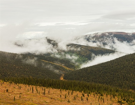 Understanding Access in the Yukon