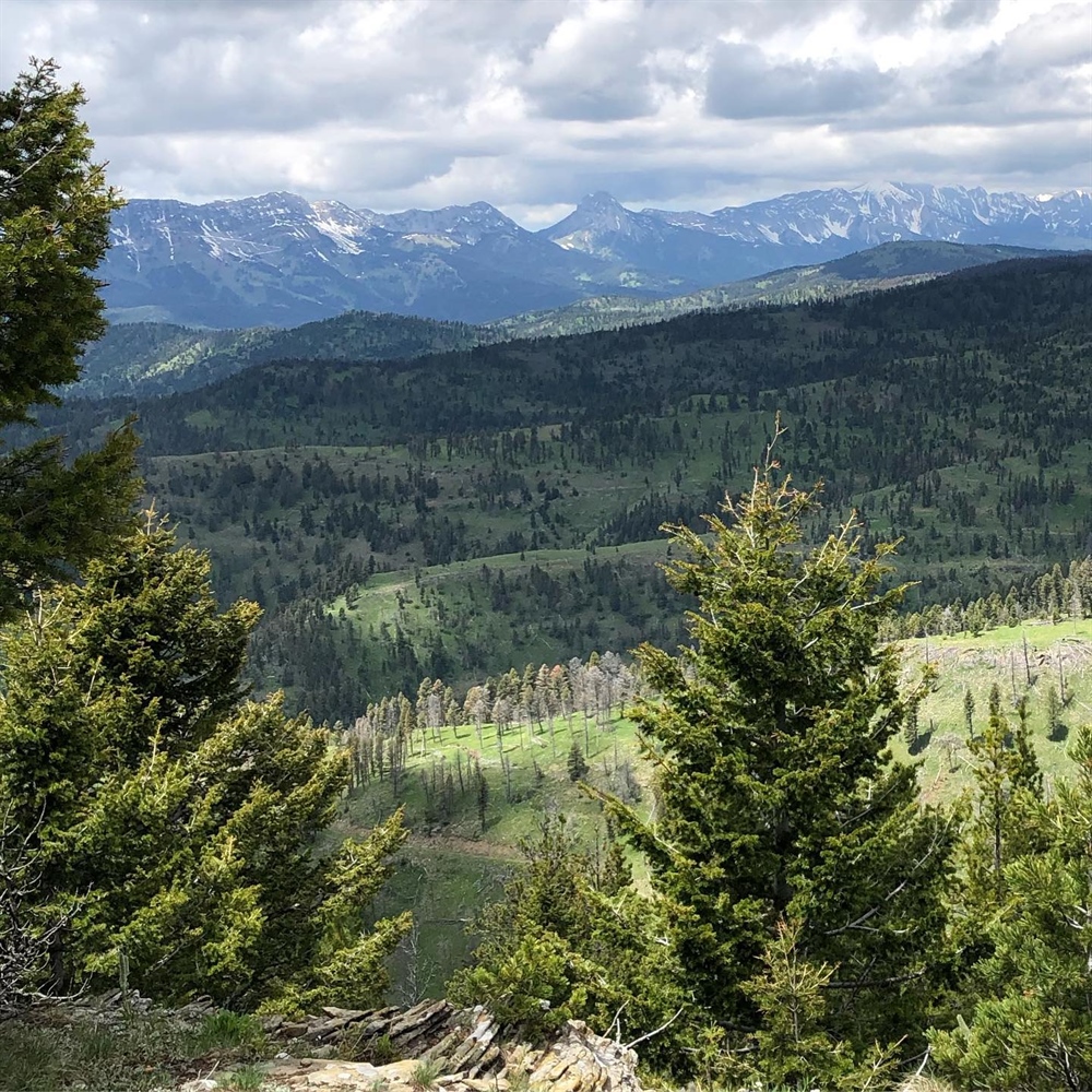 LETTER: GAOA funds for the Custer Gallatin National Forest
