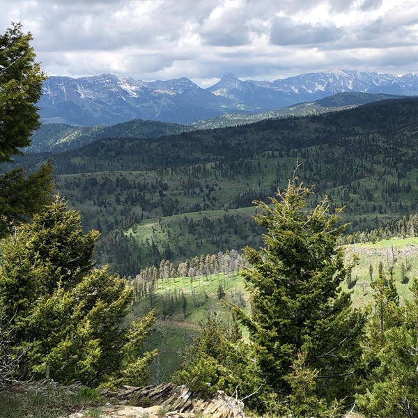 LETTER: GAOA funds for the Custer Gallatin National Forest