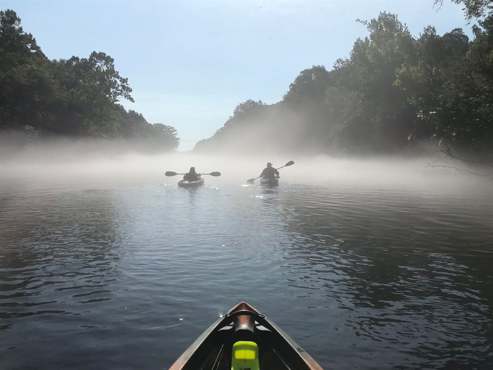 Sale of Arkansas Public Lands Cancelled Following BHA Pushback