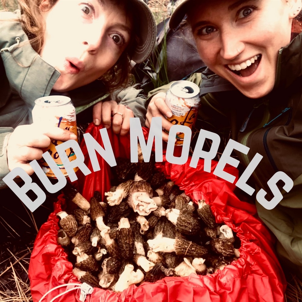 Embers & Ecology: Burn Morels