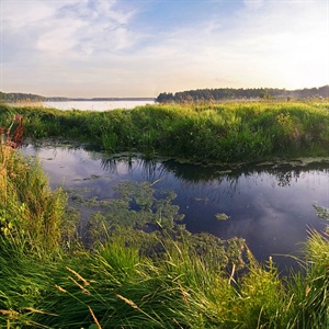 U.S. Wetlands and Waterways to Gain Additional Protections